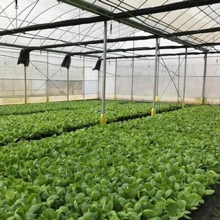 農(nóng)業(yè)/養(yǎng)殖業(yè)溫濕度監(jiān)控方案