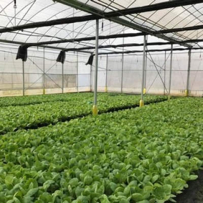 農(nóng)業(yè)/養(yǎng)殖業(yè)溫濕度監(jiān)控方案